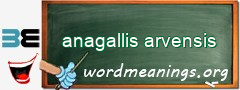 WordMeaning blackboard for anagallis arvensis